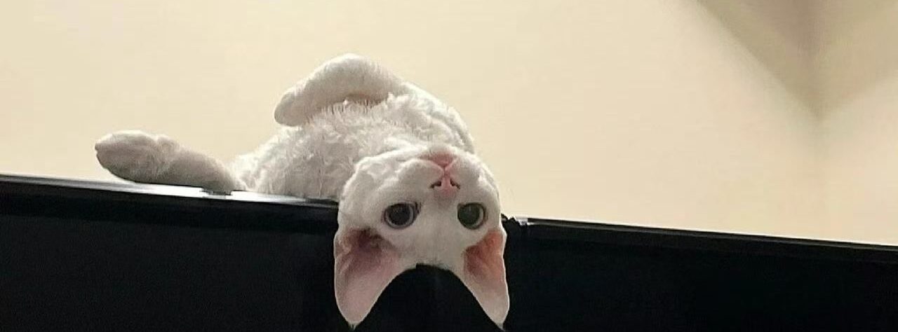 路一